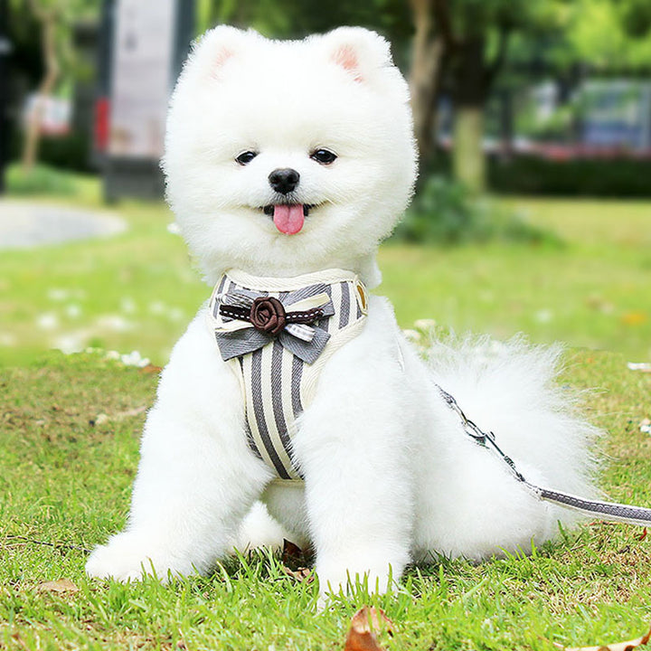 Pet Vest Style Chest Strap Leash Set