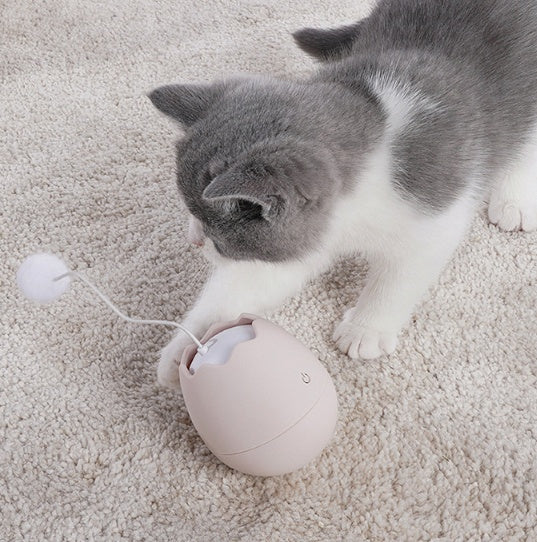 Funny Interactive Pet Play And Teasing Toy