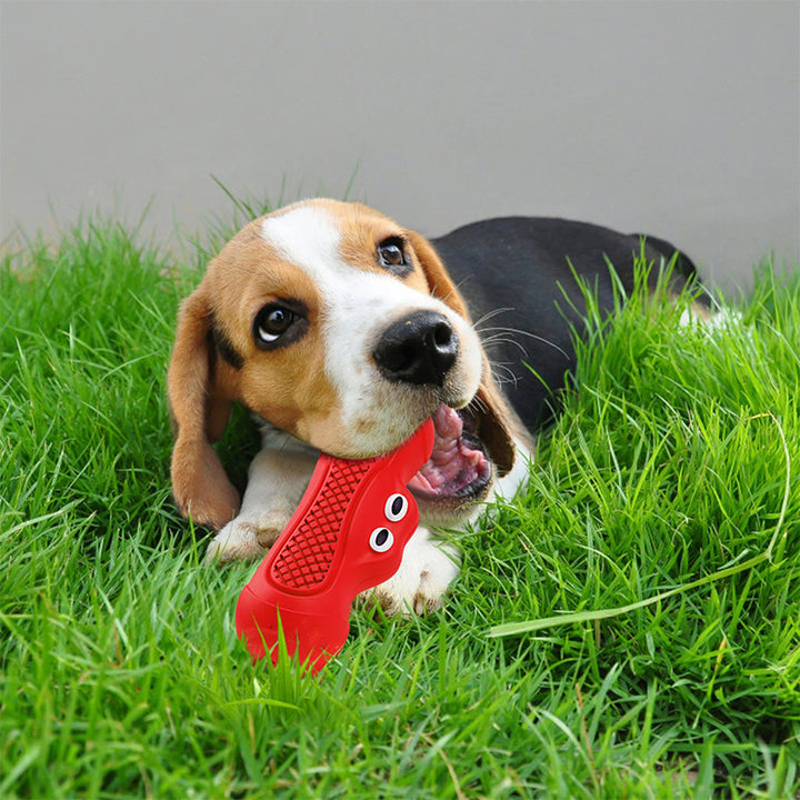 Rubber Rugby Pet Chew Toy With Squeaky Teething Design