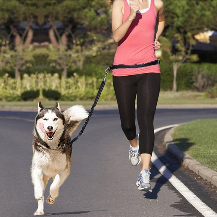 Pet Adjustable Jogging Harness Collar Leash Set