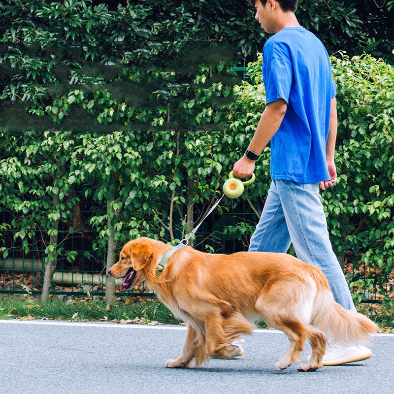 Pet Retractable Reflective Rope Outdoor Walking Control Leash