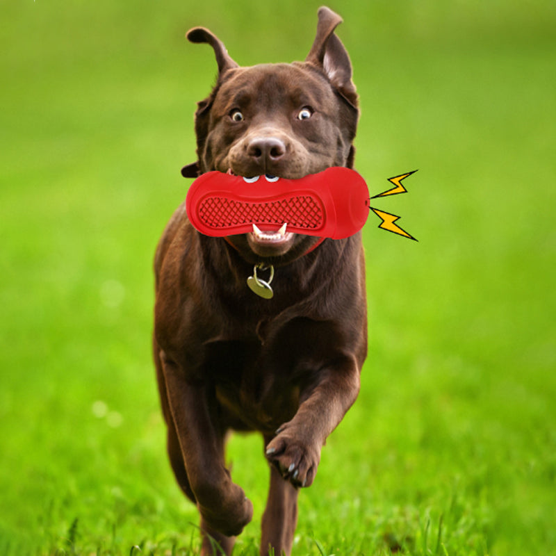 Rubber Rugby Pet Chew Toy With Squeaky Teething Design