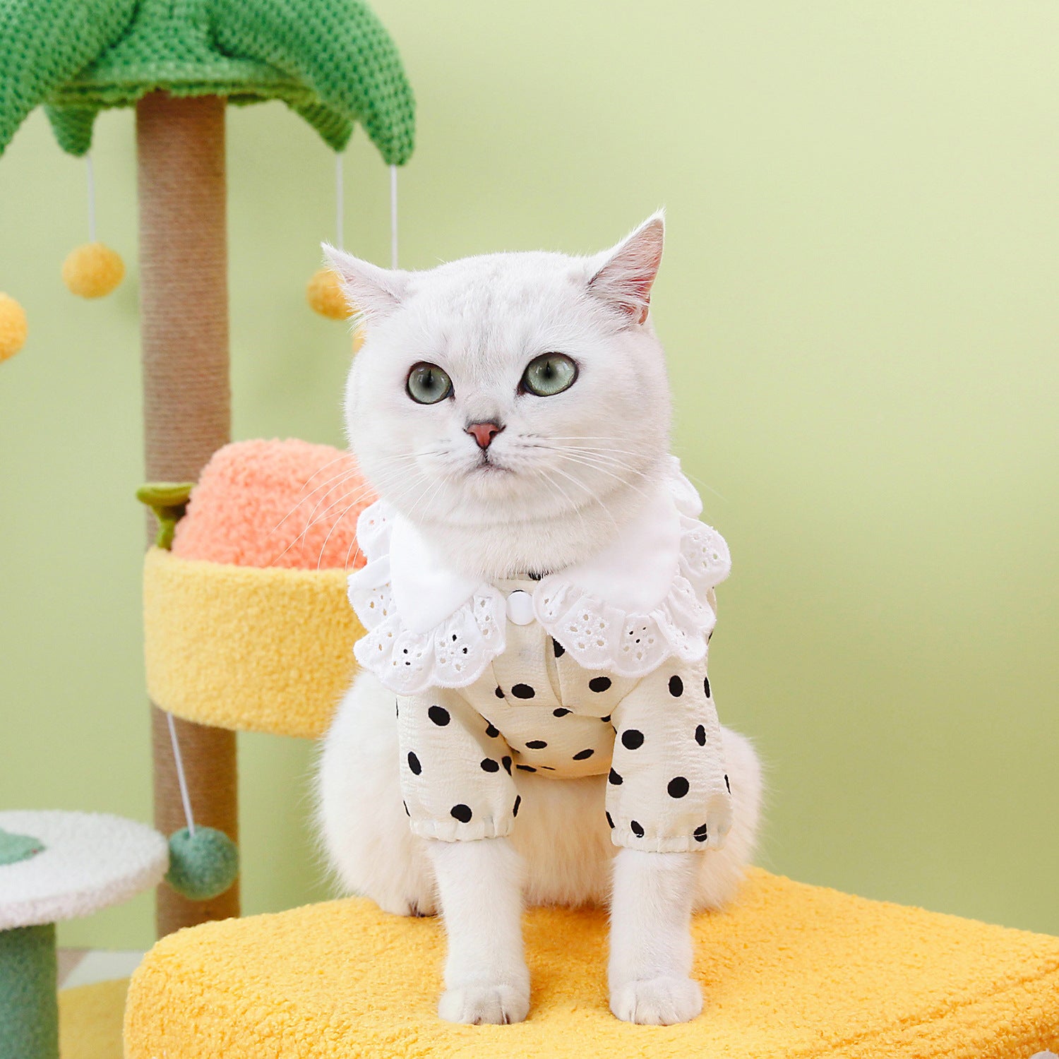 Pet Blue Ragdoll Style Casual Breathable T-Shirt