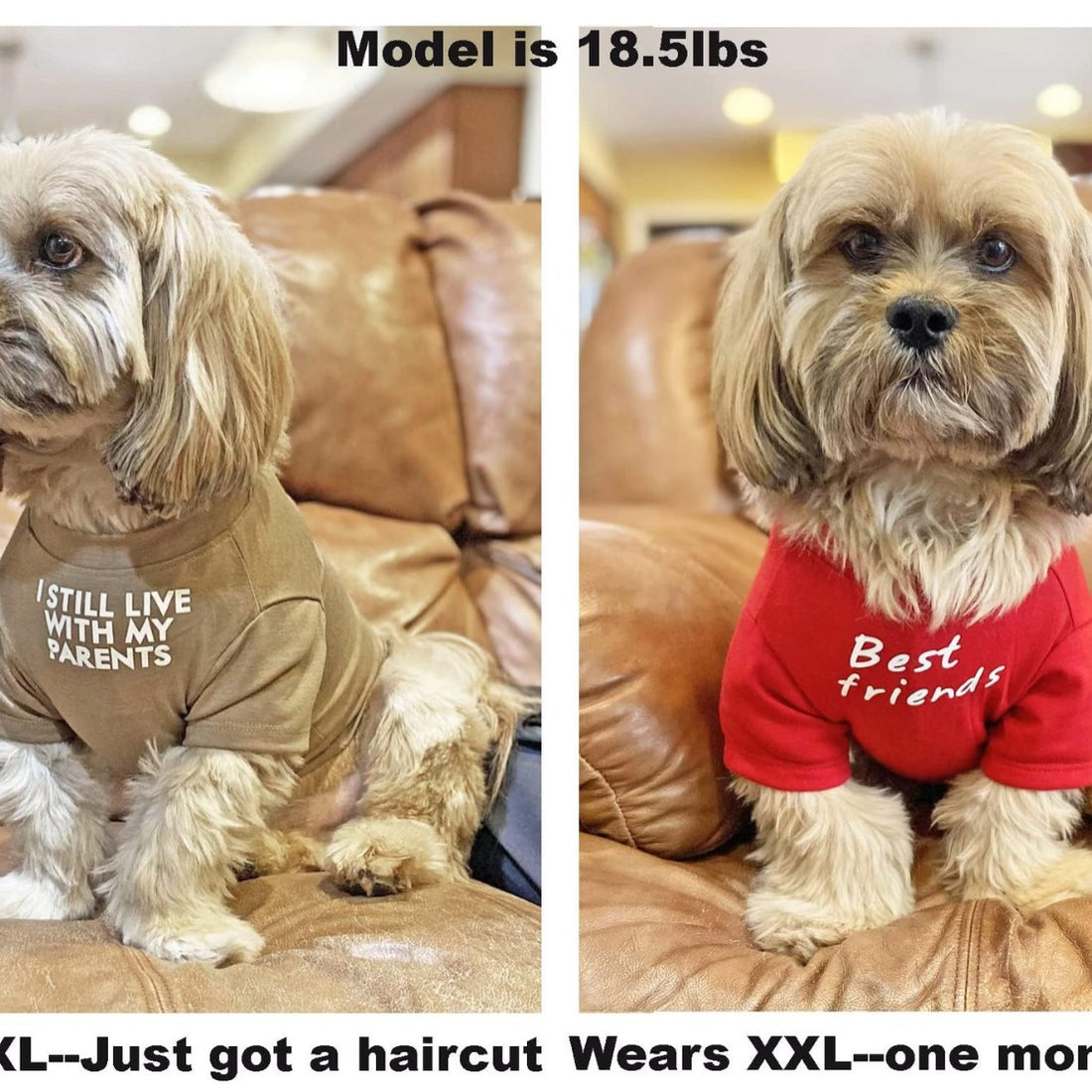 Round Neck Pet T Shirt Clothing Apparel