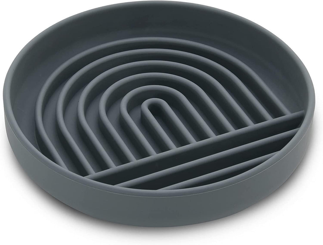 Pet Simple Fashion Slow Feeding Anti Choking Bowl