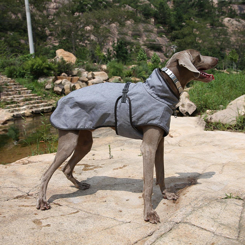 Winter Outdoor Pet Shell Ski Jacket Suit Apparel