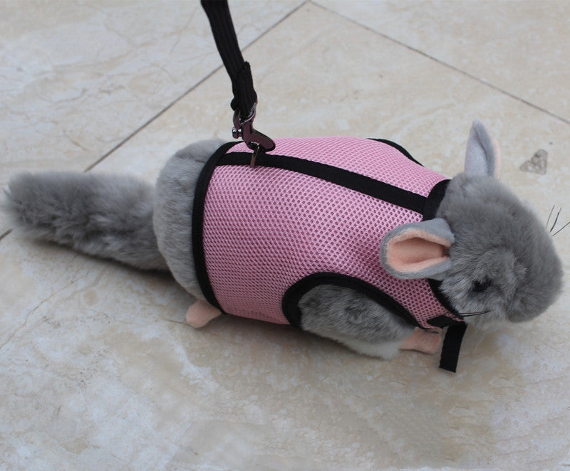 Pet Small Size Control Walking Leash