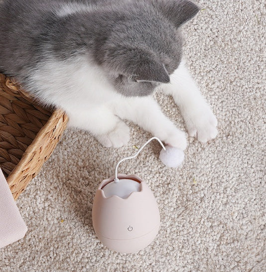 Funny Interactive Pet Play And Teasing Toy