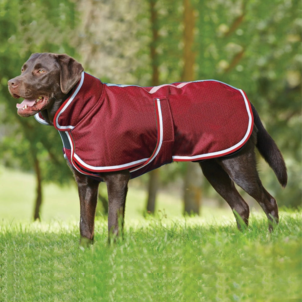 Autumn Winter Warm Pet Waterproof Leisure Jacket Apparel