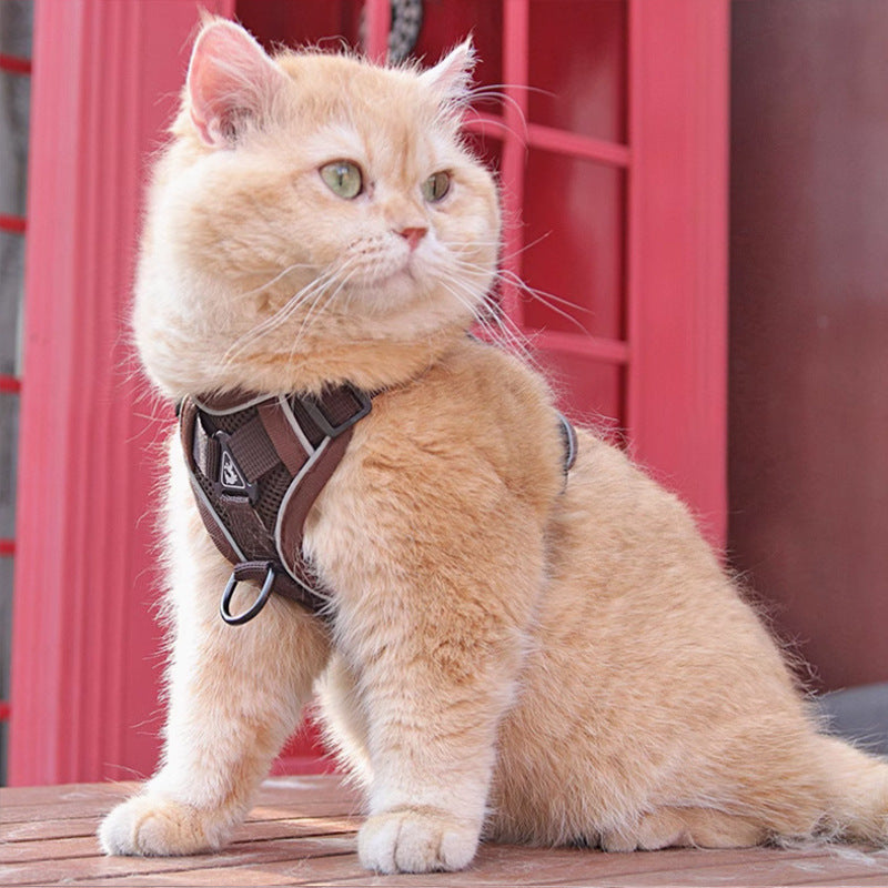 Pet Vest Harness Chest Strap With Leash Set