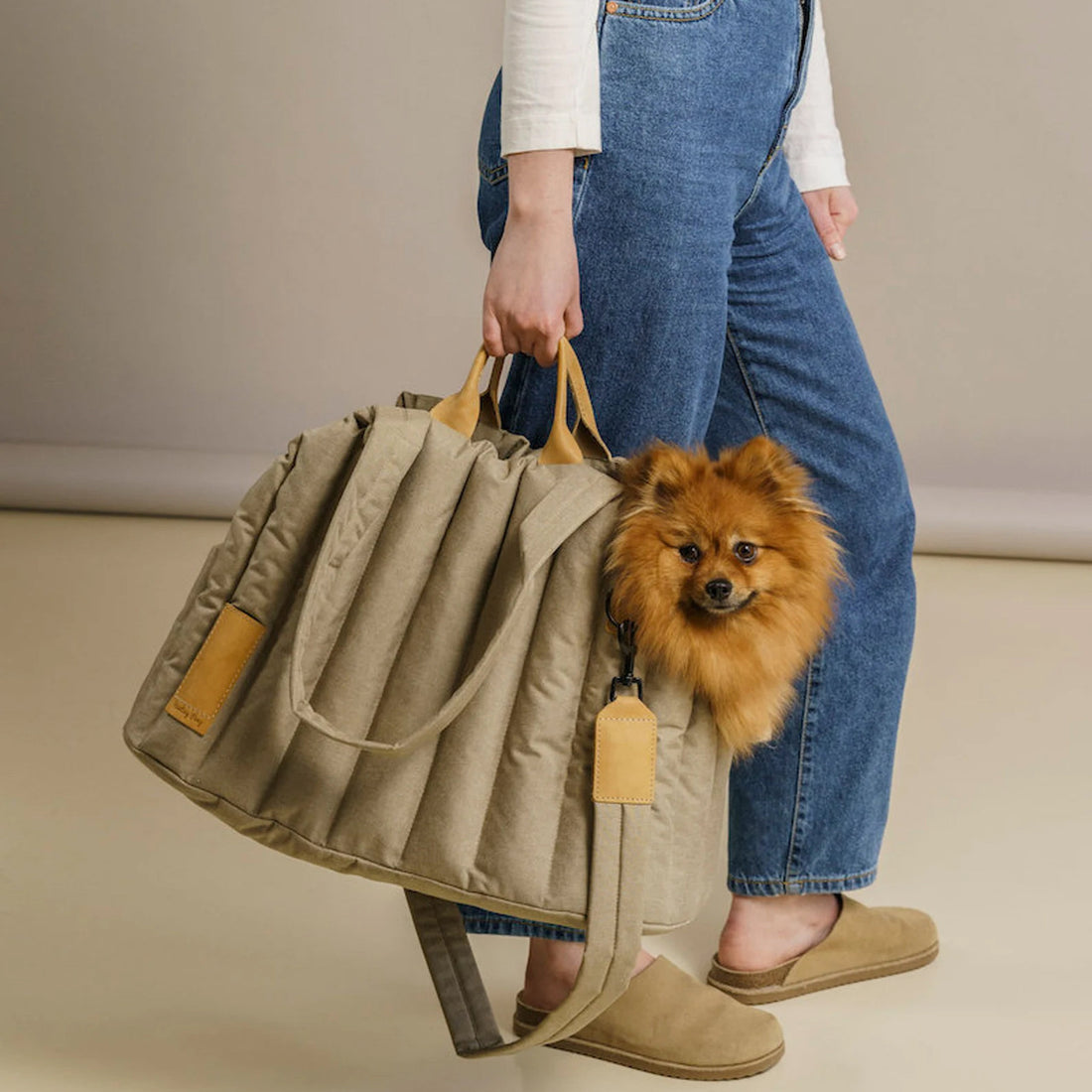 Lightweight Waterproof Pet Carrier Handbag For Outdoor Travel