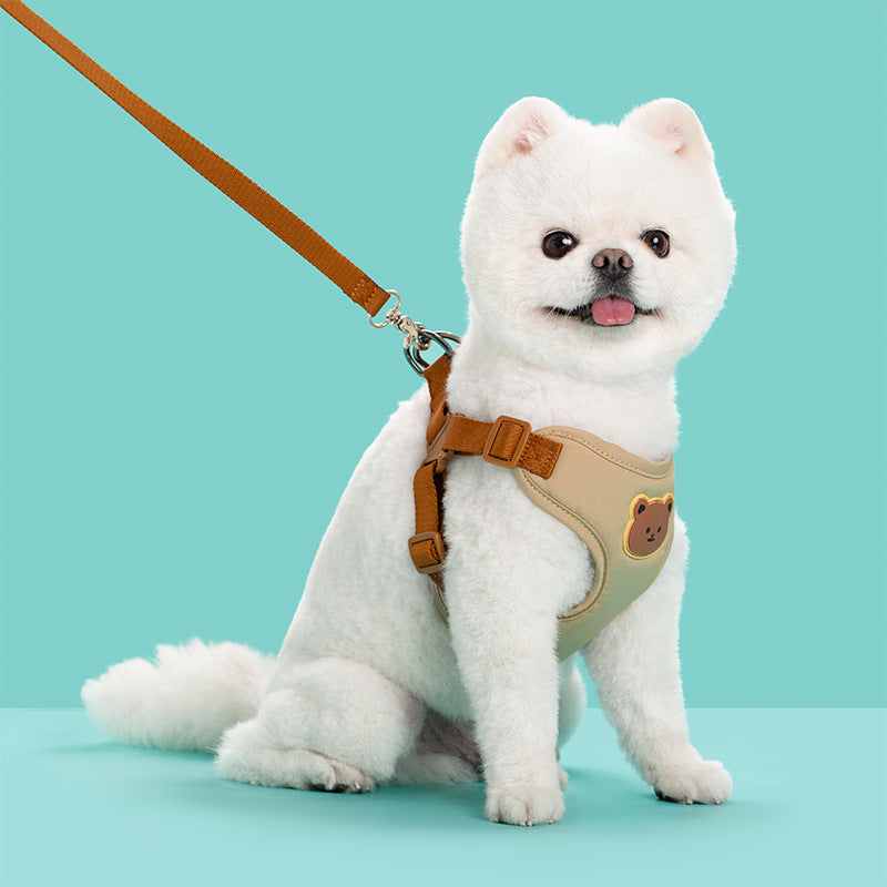 Pet Outdoor Walking Control Leash Strap