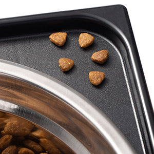 Pet Elevated Feeding Bowl Neck Support Anti Spill Design