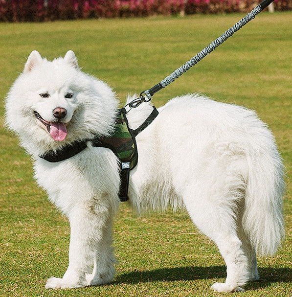 Pet Chest Harness Leash Adjustable Comfort Walking Control