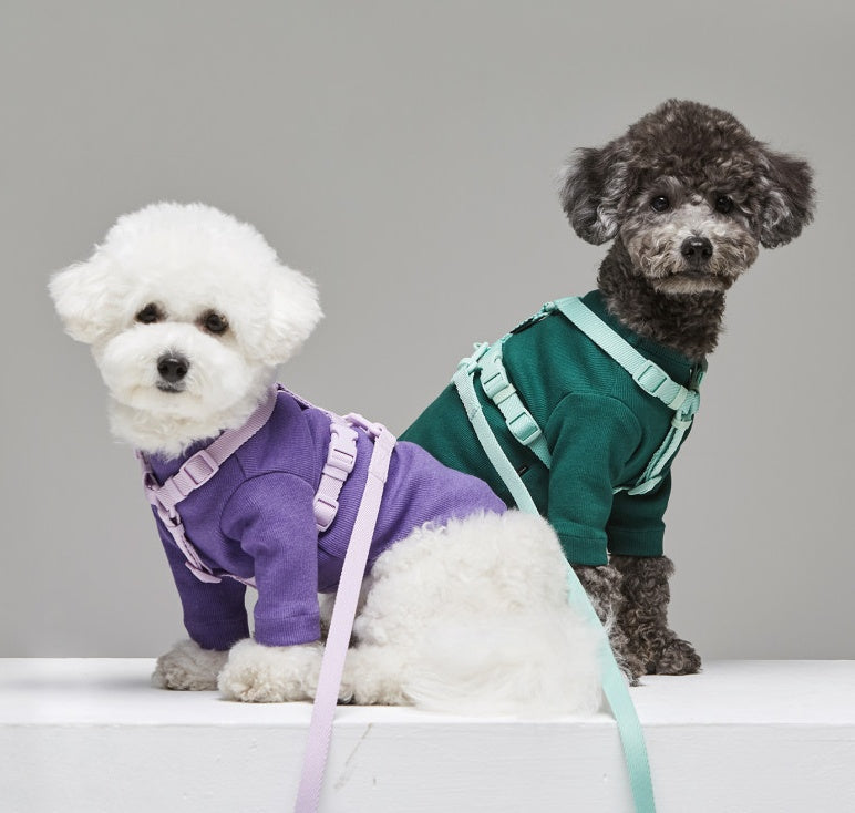 Pet Macaron Style Windproof Leash Harness