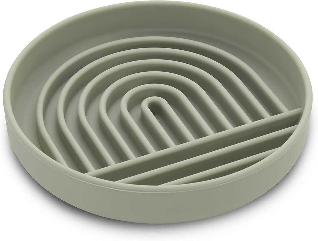 Pet Simple Fashion Slow Feeding Anti Choking Bowl