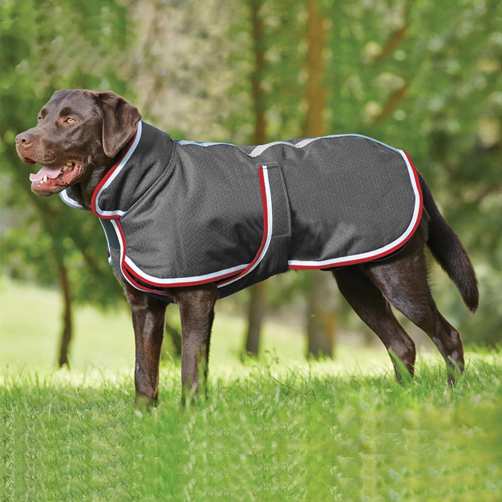 Autumn Winter Warm Pet Waterproof Leisure Jacket Apparel