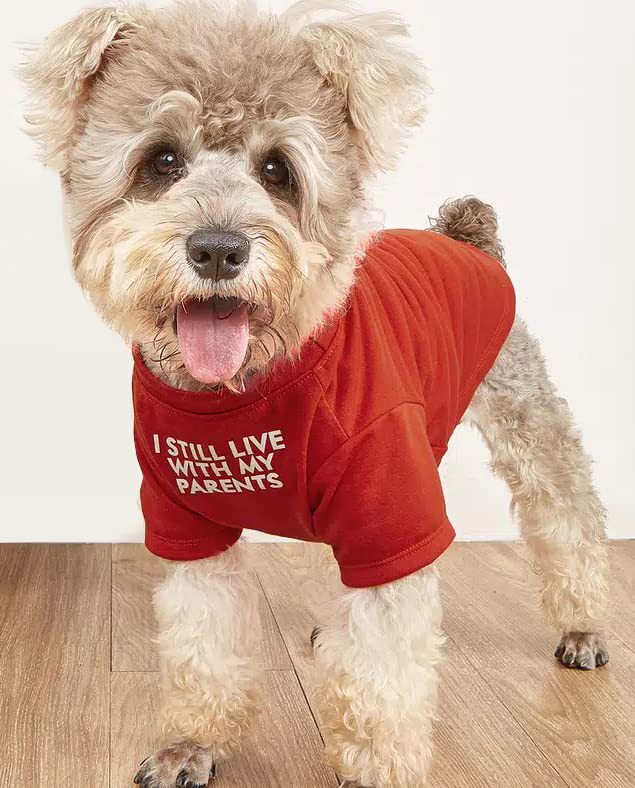 Round Neck Pet T Shirt Clothing Apparel