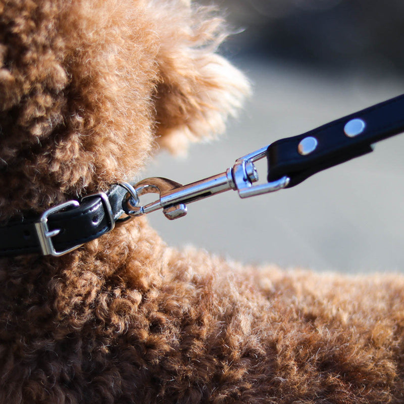 Pet Adjustable Leash And Collar Outdoor Control Set