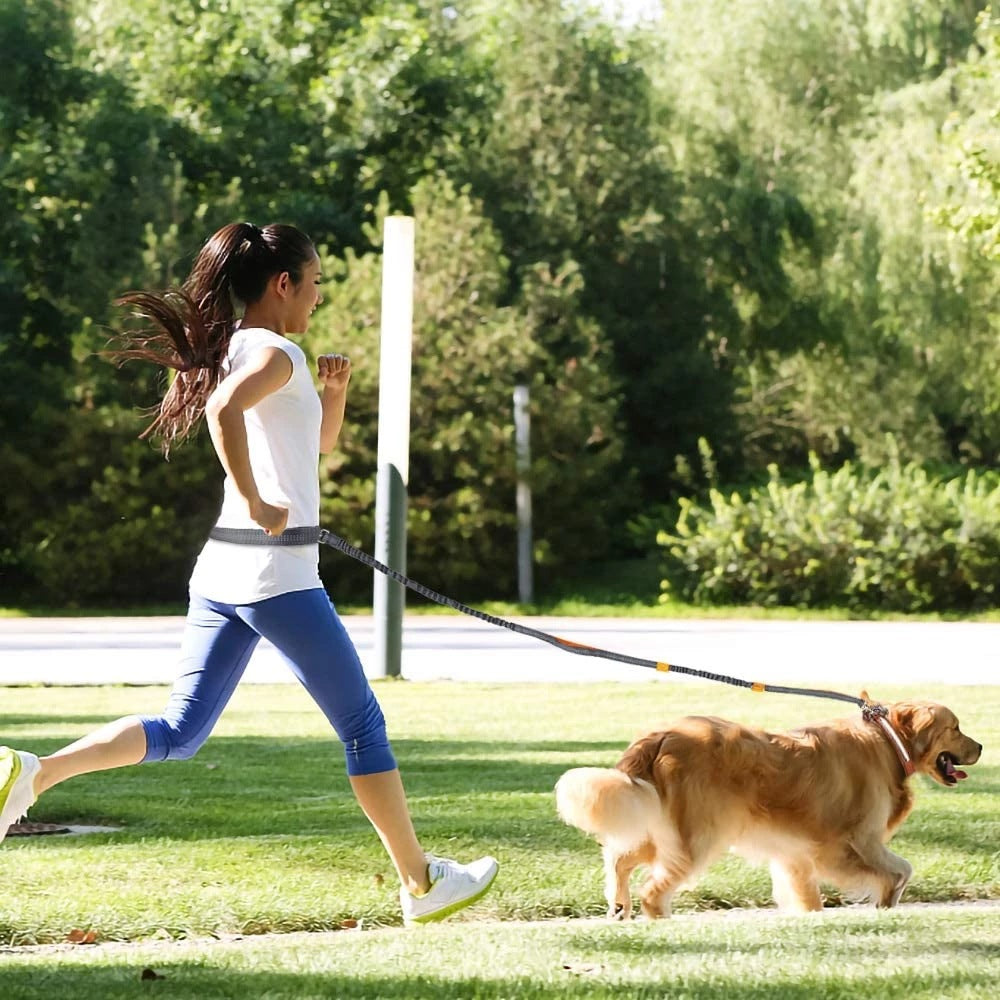 Pet Adjustable Jogging Harness Collar Leash Set