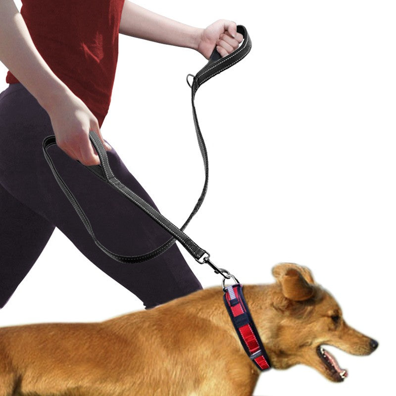 Pet Double Handle Control Pull Leash