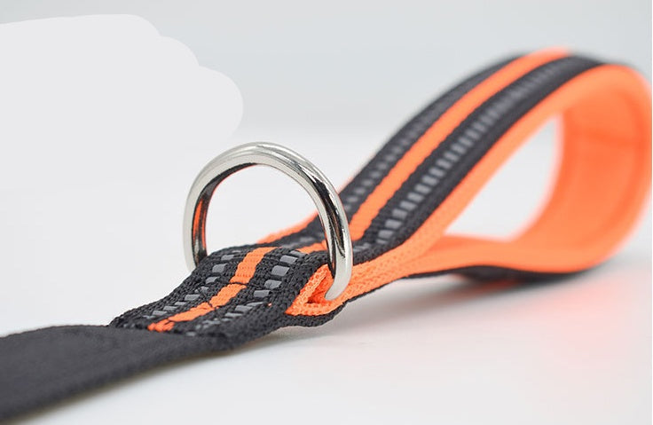 Pet Nylon Retractable Assisted Walking Leash