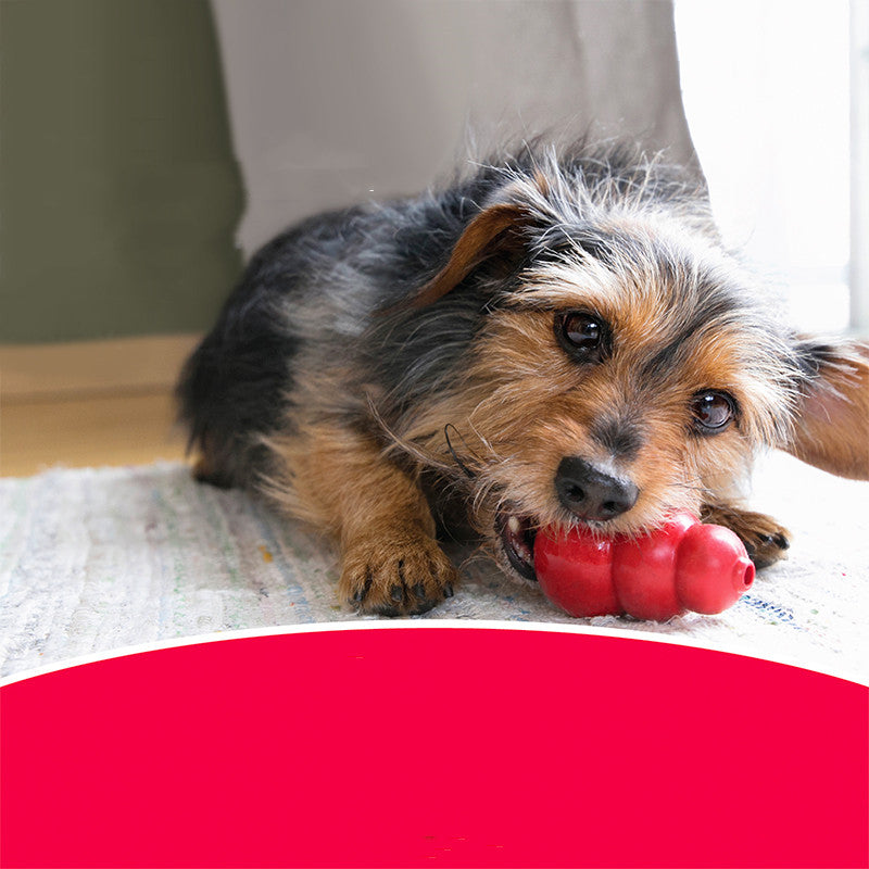 Durable Rubber Pet Chew And Teeth Grinding Toy