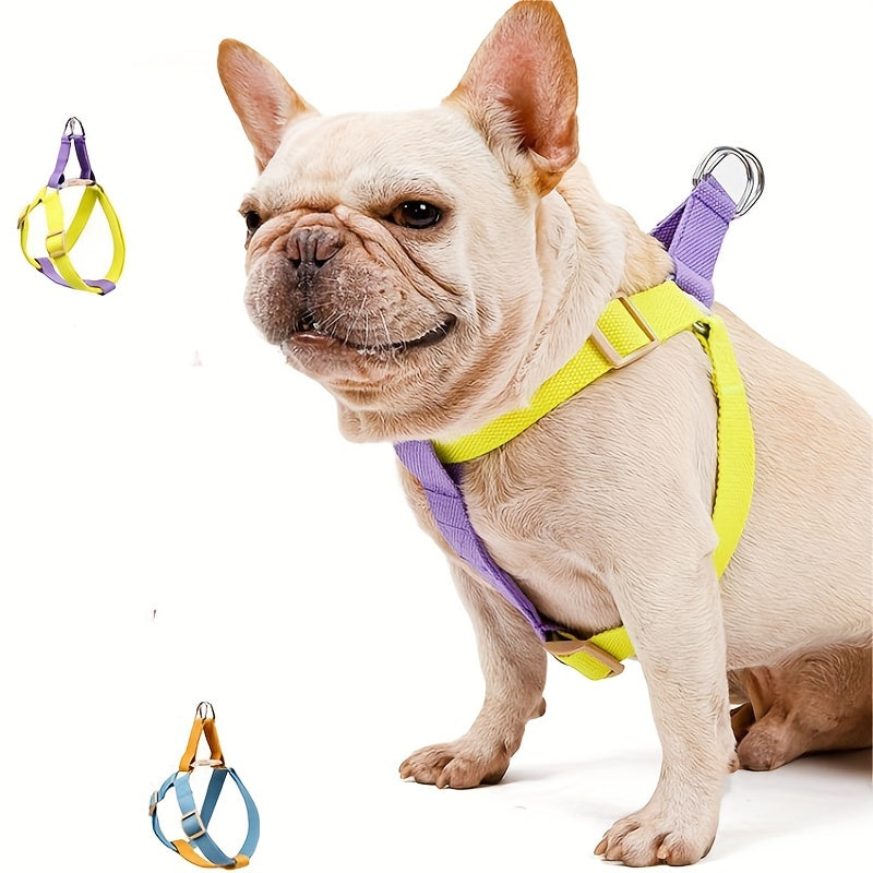 Pet Rainbow Colorblock Vest Anti Escape Harness Set