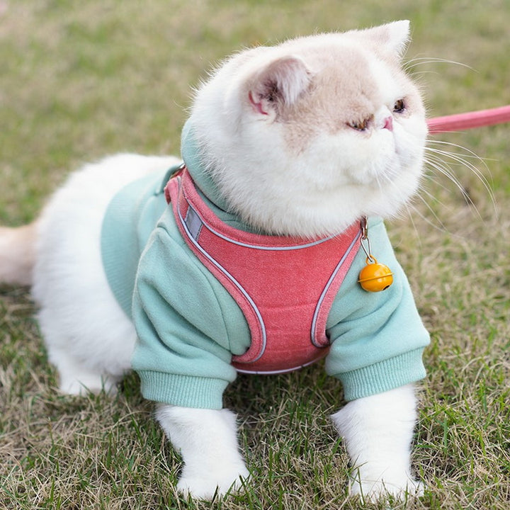 Pet Vest Type Chest Harness Leash