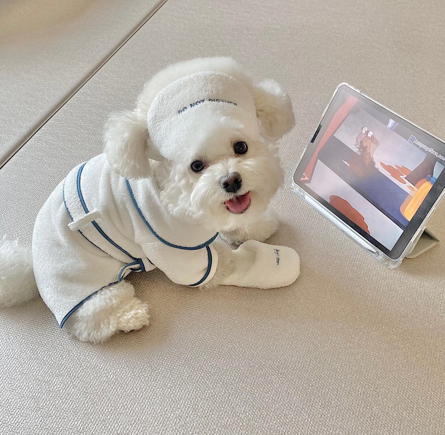 Pet Bathrobe Towel Hotel Style Photo Prop And Bath Wear