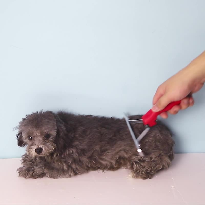 Extra Large Pet Rake Comb Deshedding Grooming Brush