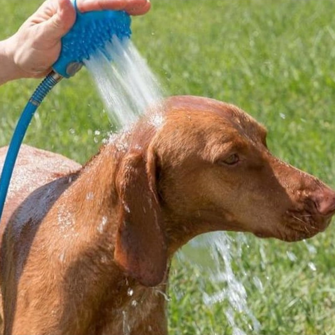 Pet Bath And Grooming Supplies Set