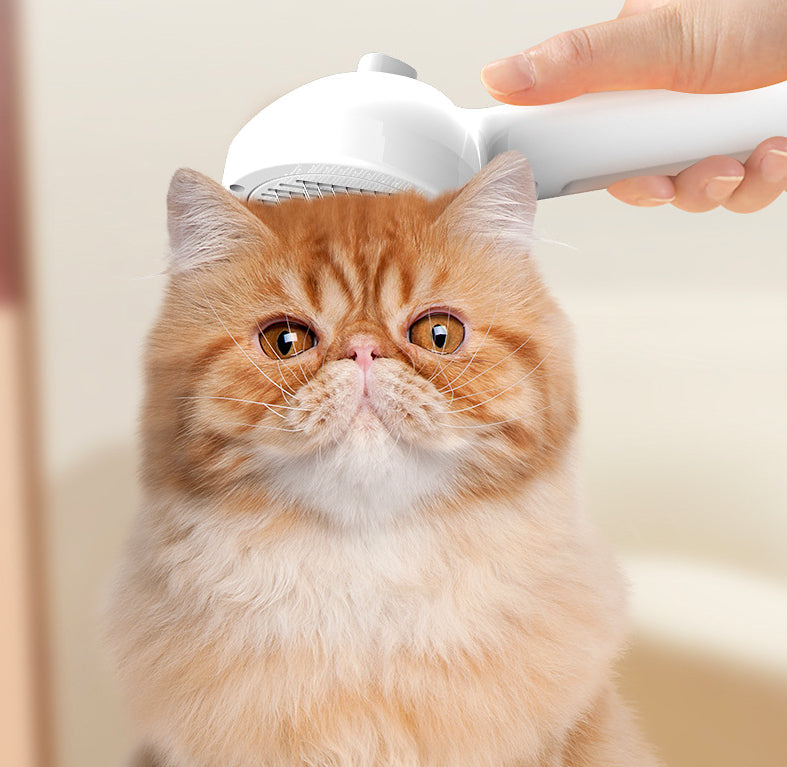 Self Cleaning Pet Grooming Brush With Mist Function