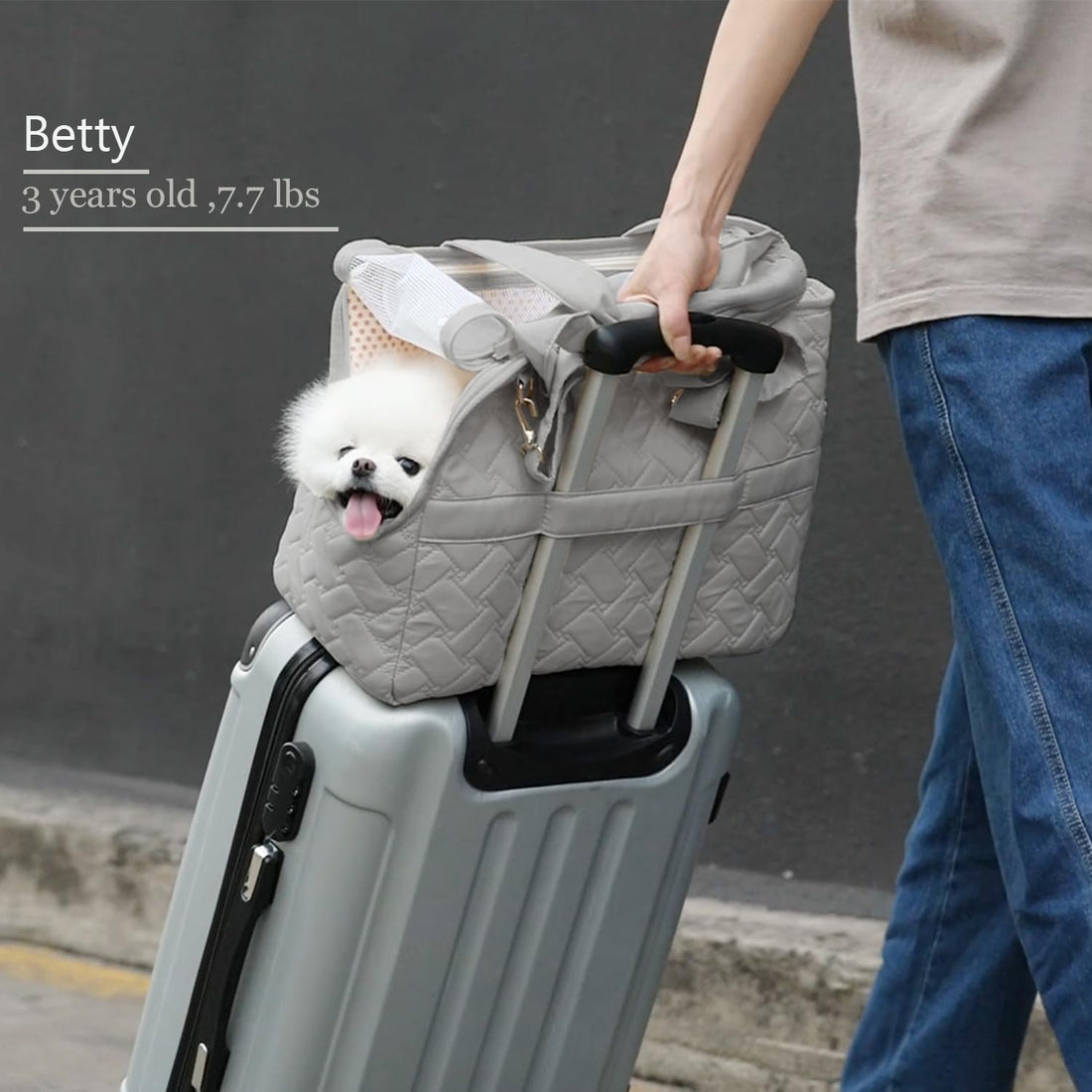 Pet Breathable Mesh Soft Cushion Multi Pocket Travel Carrier Bag