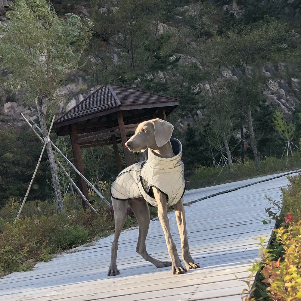 Full Body Reflective Pet Tactical Jacket Apparel