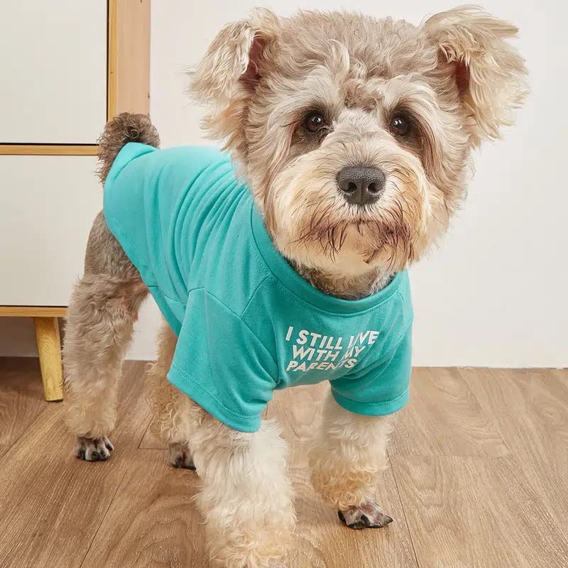 Round Neck Pet T Shirt Clothing Apparel