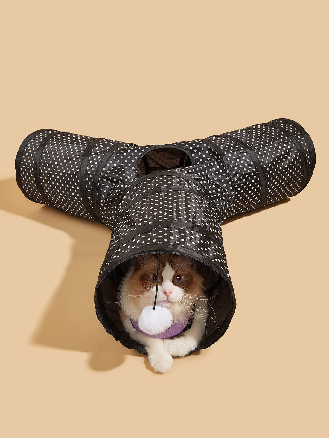 Collapsible Pet Tunnel Channel Interactive Play Toy