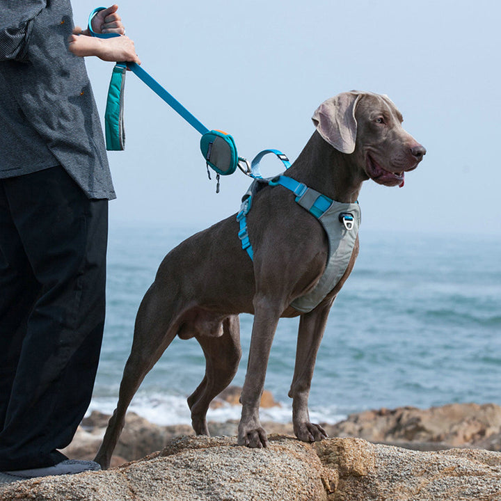 Pet Chest Strap Harness With Storage Bag For Outdoor Use