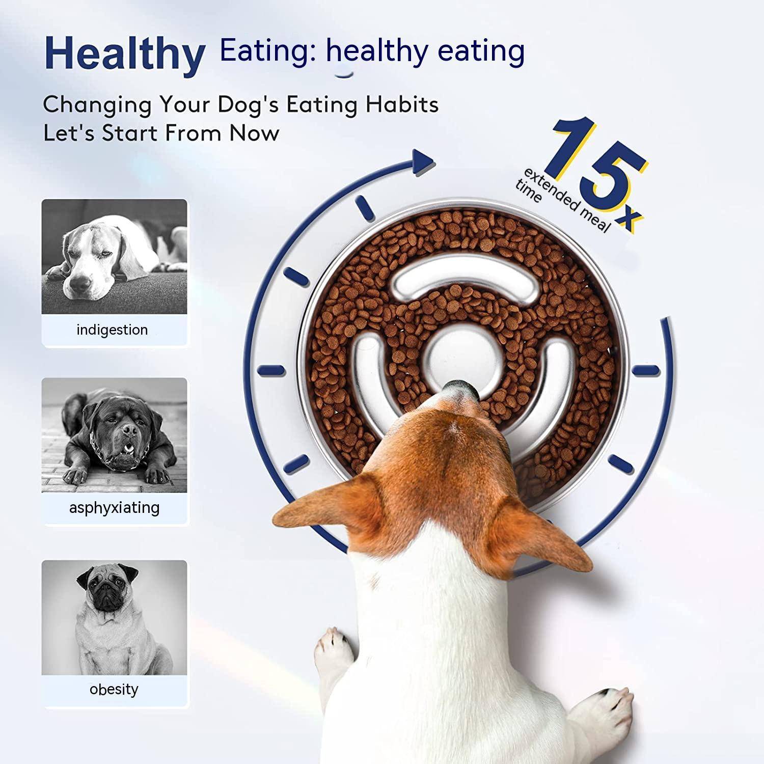 Pet Stainless Steel Neck Protector Slow Feeding Bowl