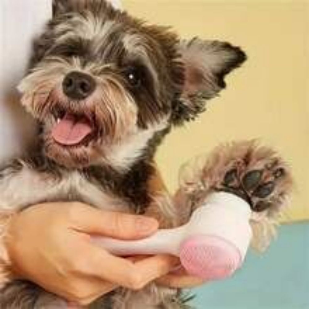 Gentle Nylon Pet Paw Grooming Brush Massage Tool