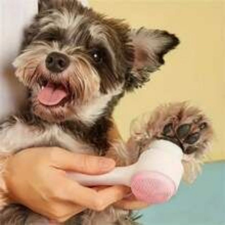 Gentle Nylon Pet Paw Grooming Brush Massage Tool