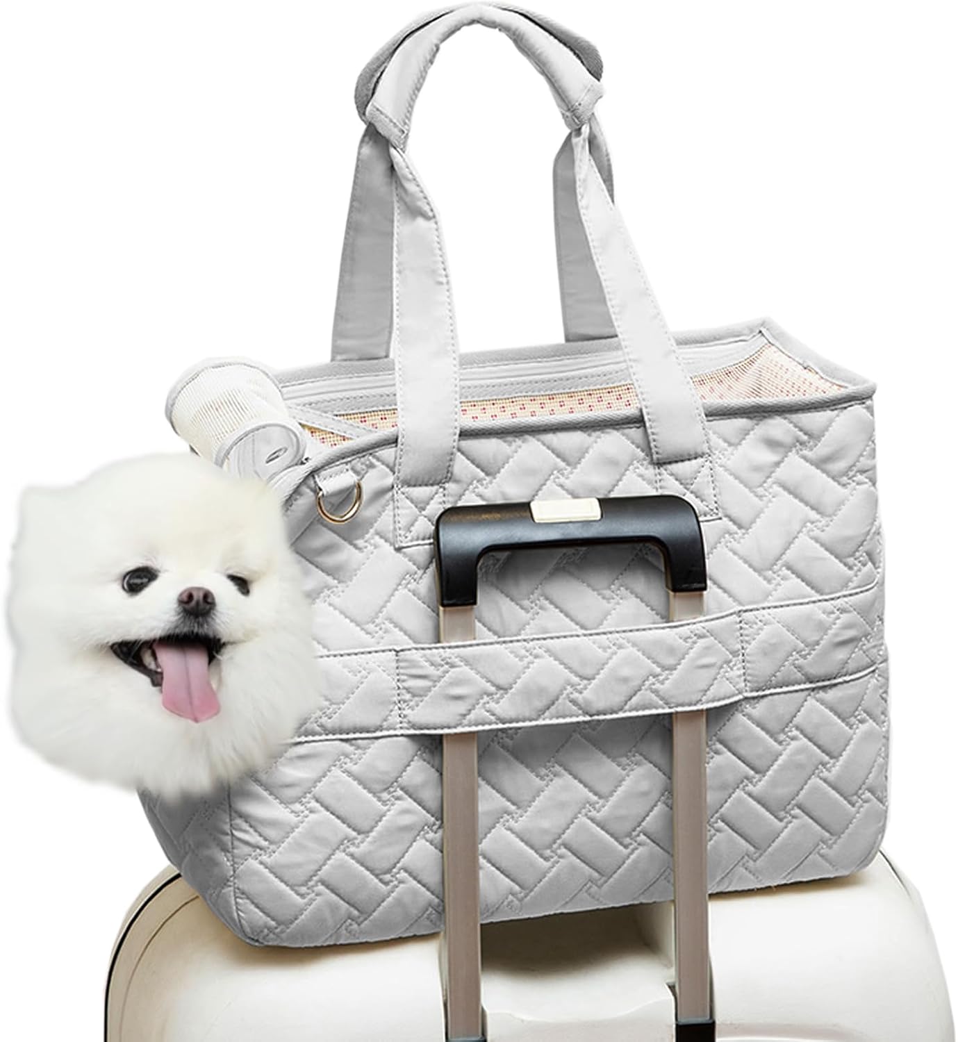 Pet Breathable Mesh Soft Cushion Multi Pocket Travel Carrier Bag