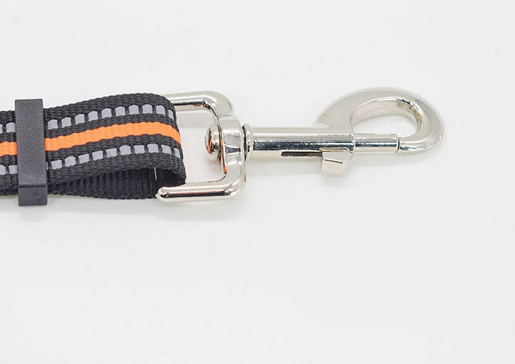 Pet Nylon Retractable Assisted Walking Leash