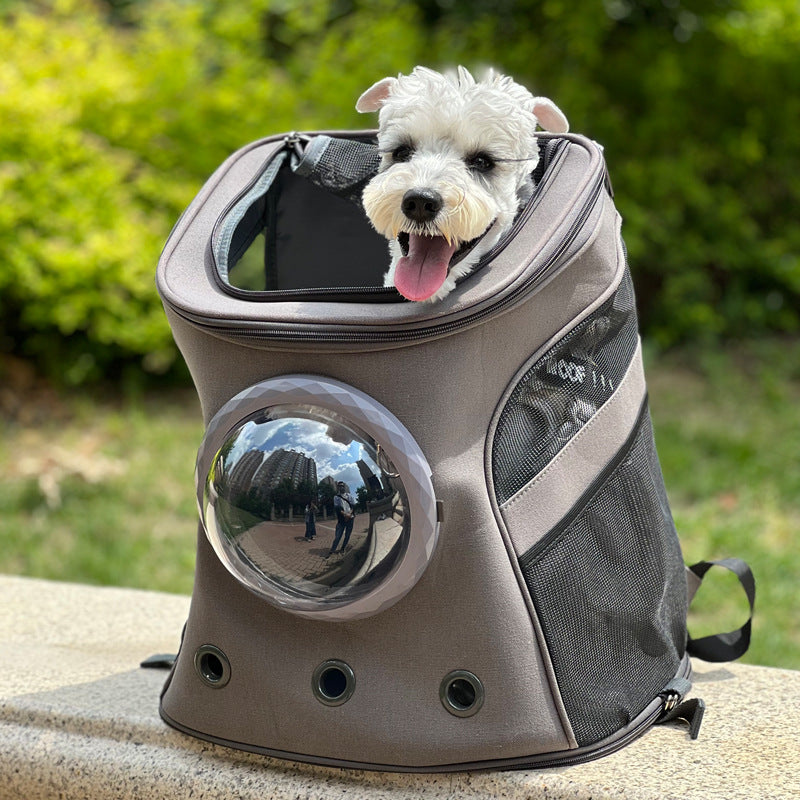 Pet Portable Backpack Style Medium Size Carrier