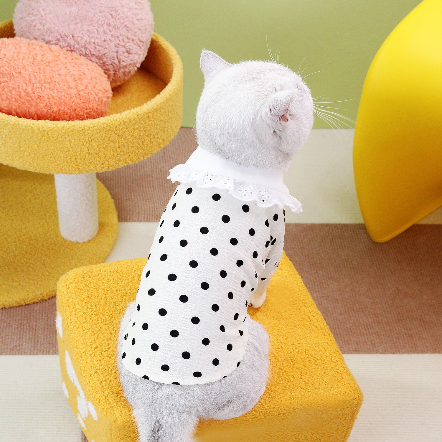 Pet Blue Ragdoll Style Casual Breathable T-Shirt