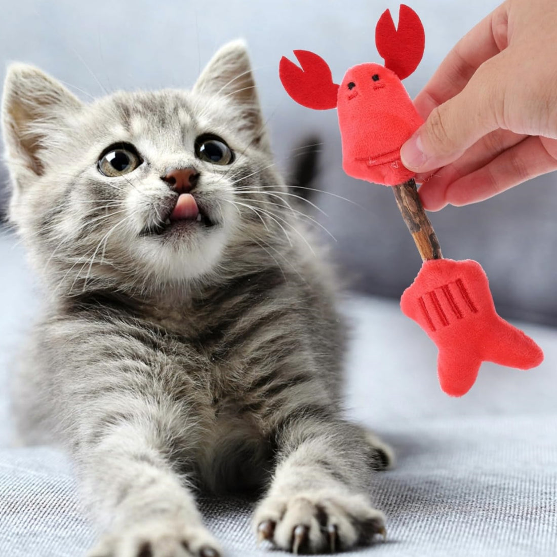 Pet Silvervine Chew Sticks Teeth Cleaning Interactive Toy Kit