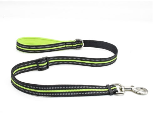 Pet Nylon Retractable Assisted Walking Leash