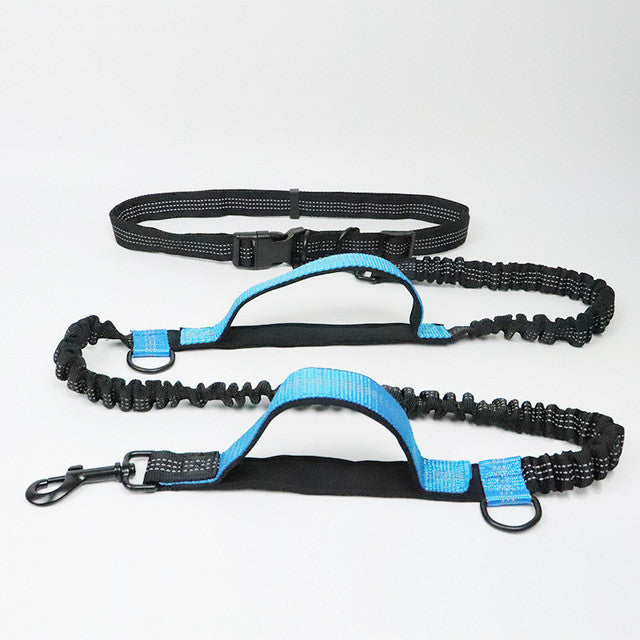 Pet Adjustable Jogging Harness Collar Leash Set