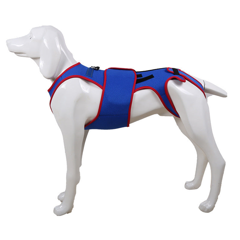 Spine Support Pet Posture Corrective Jacket Apparel