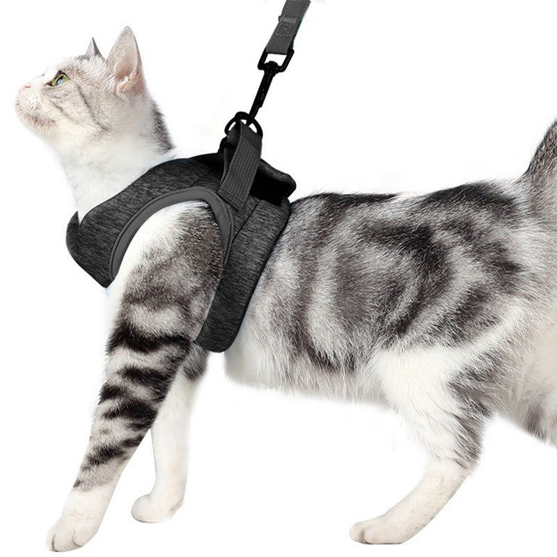 Pet Breathable Lightweight Chest Strap Lace Rope Leash
